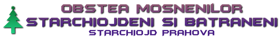 Licitatie masa lemnoasa – Vanzare lemn -Prahova -Buzau 